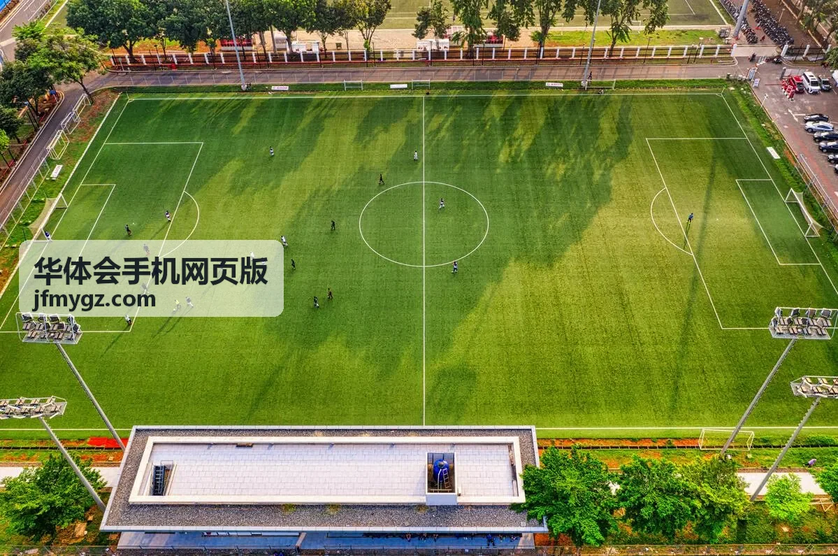 华体会手机网页版在手机浏览器中的赛事数据页面展示