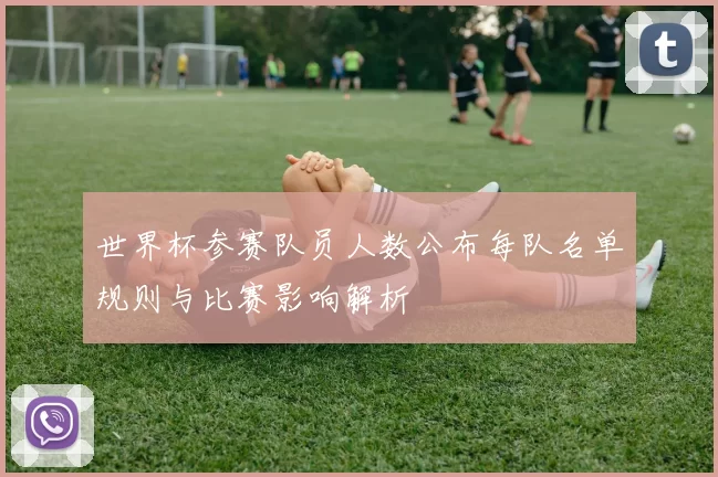 世界杯参赛队员人数公布每队名单规则与比赛影响解析