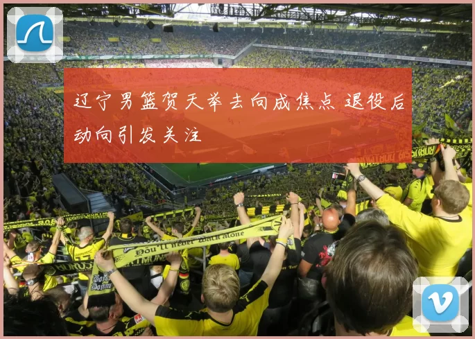 辽宁男篮贺天举去向成焦点 退役后动向引发关注