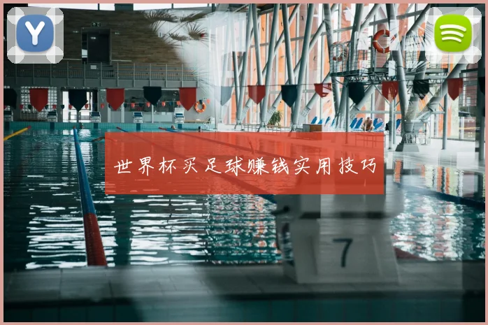 世界杯买足球赚钱实用技巧