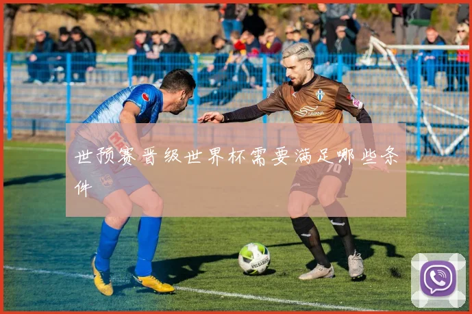 世预赛晋级世界杯需要满足哪些条件